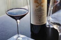 Guided tour and wine tasting in Chianti Classico