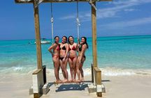 Green Turtle Cay, Pigs Island and Rose Island Tour