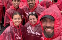 Guided tour of Niagara Falls with boat ride and maple tasting