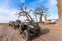 2-hour quad tour from Saly