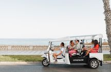 2-hour expert tour of Malaga in a private electric tuk-tuk