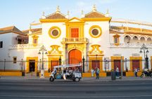 1-hour express tour of Seville in a private electric tuk-tuk