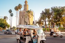 1-hour express tour of Seville in a private electric tuk-tuk