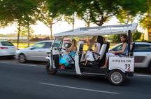 2-hour expert tour of Seville in a private electric tuk-tuk