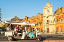 2-hour expert tour of Seville in a private electric tuk-tuk