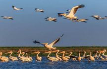 Escape to the Danube Delta tour