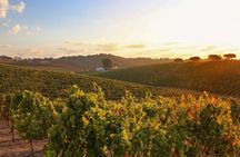 Salt mine with wine tasting tour