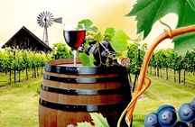 Salt mine with wine tasting tour