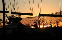 Accrobaobab adventure from Somone