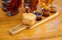 Niagara Winter Festival of Lights guided tour from Toronto