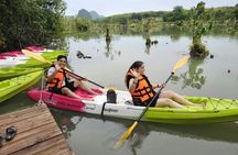 Half-day Klong Root kayak experience with pineapple farm tour
