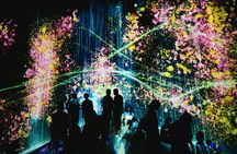 Guided walking tour of Kyoto and TeamLab entrance ticket