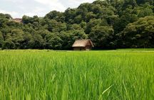 Shirakawago and Kanazawa guided day tour from Osaka