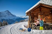 Bernese Oberland winter edition private tour from Zürich