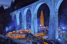 Black Forest fairytale private tour from Zurich