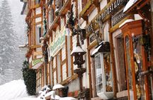 Black Forest fairytale private tour from Zurich