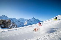 Winter sledging adventure private tour from Zurich