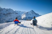 Winter sledging adventure private tour from Zurich
