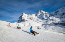 Winter sledging adventure private tour from Zurich