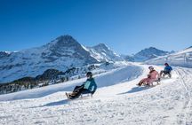 Winter sledging adventure private tour from Zurich