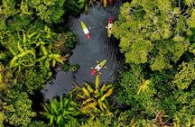Klong Root kayak, batik class, rubber tapping and pineapple farm tour