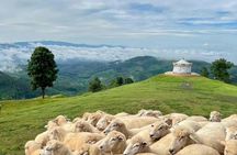 2-day Doi Chang and Chiang Rai tour with private van charter