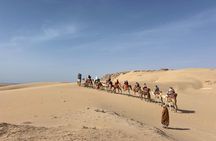 Timlaline Dunes sunset tour with canyon visit and BBQ