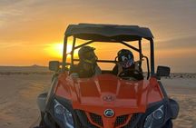 Sunset sandboarding in Agadir desert with Dinner
