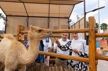 Guided heritage trolley tour of old Dubai cultural landmarks