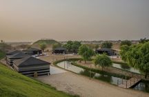 Evening desert safari in Al Marmoom with BBQ dinner from Dubai
