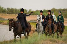 Arabian horse riding experience with live BBQ in Bedouin village