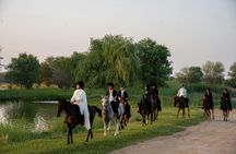 Arabian horse riding experience with live BBQ in Bedouin village