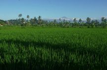 Rural villages and sacred caves cycling adventure in Lombok with lunch