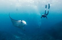 Snorkelling in Nusa Penida 4 points