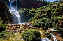 Private full-day trip to Ouzoud Falls from Marrakech