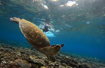 Snorkelling in Nusa Penida 4 points