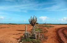 Curaçao Cave, Kunuku House and Cas Abao Beach 4x4 off-road safari