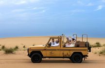 Evening desert safari in Al Marmoom with BBQ dinner from Dubai