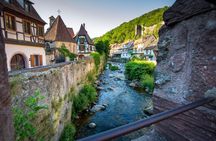 Private guided tour of Black Forest and Alsace from Zürich