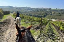 Horseback riding tour in Tuscany