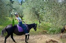 Horseback riding tour in Tuscany