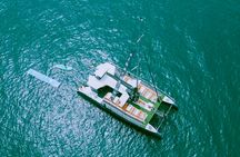 Bay of Cádiz catamaran excursion