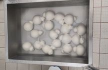 Dairy tour and cheese tasting in the Itria Valley