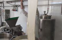 Dairy tour and cheese tasting in the Itria Valley