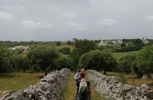 Trekking and dry stone wall lesson in the Valle d’Itria