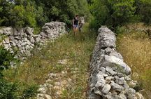 Trekking and dry stone wall lesson in the Valle d’Itria