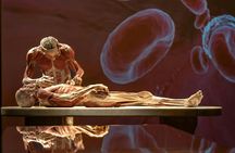 BODY WORLDS & The Cycle of Life exhibition in Chemnitz