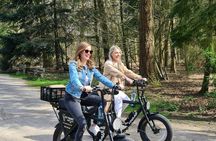 E-Fatbike rental with self-guided tour on your phone