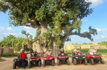 2-hour quad tour from Saly