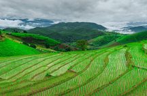 Full-day van charter with driver in Northern Thailand